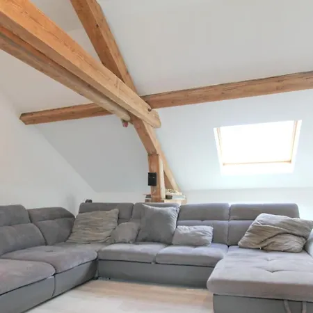 Villa de 6 chambres avec piscine privee jardin clos et wifi a Metz Metz
